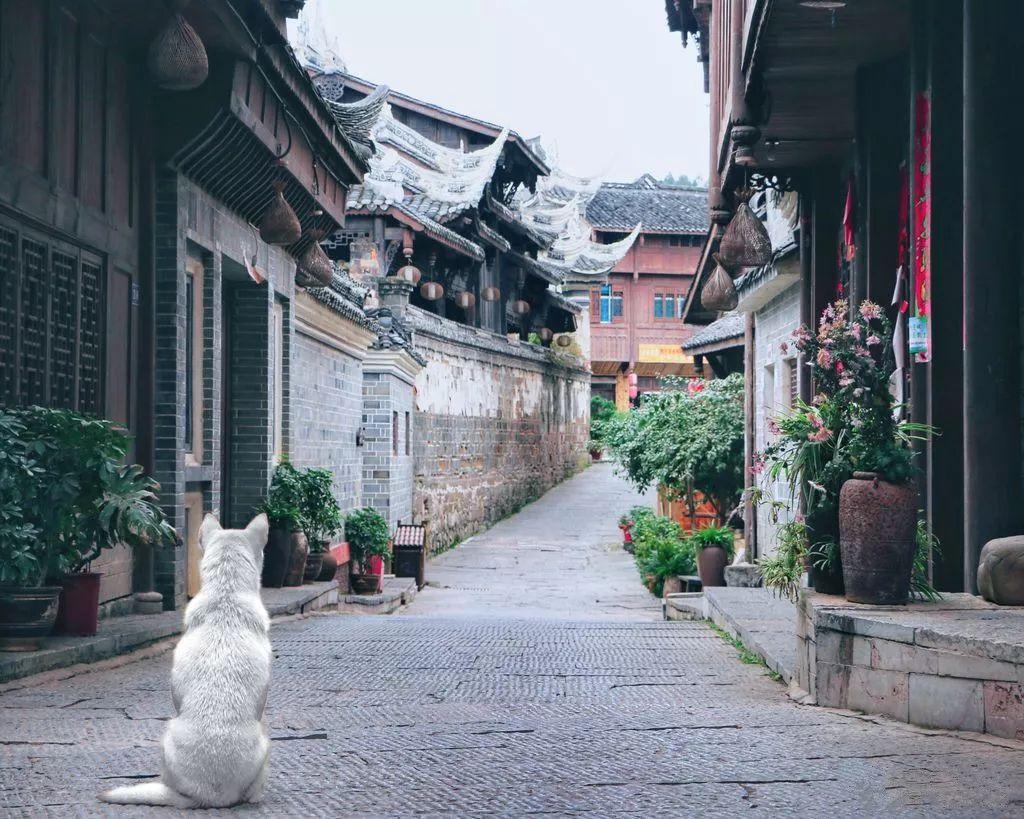 男生走路时靠近女生，代表喜欢她吗？游戏画面